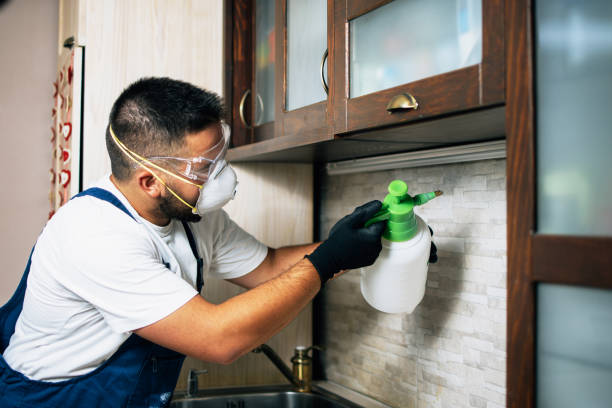Best Wasp Removal Services  in Tuntutuli, AK