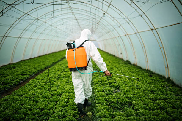 Best Emergency Pest Control  in Tuntutuli, AK