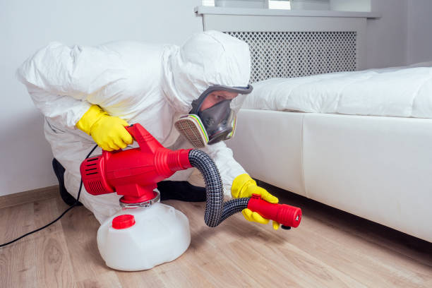 Best Termite Control Services  in Tuntutuli, AK