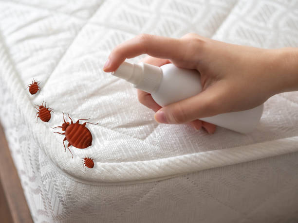 Reliable Tuntutuliak, AK Pest Control Solutions